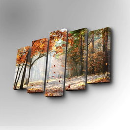 Wallity Cuadro decorativo en lienzo 5 piezas 5PUC-020 Multicolor